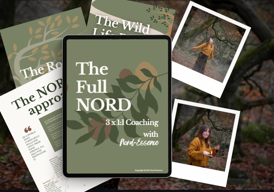Product image for “The Full NORD” — a 3-session burnout recovery coaching bundle by Nord-Essence. Guides high-functioning women through the full NORD method for sustainable healing. Includes tablet mockup, nature photography, and symbolic footprints.