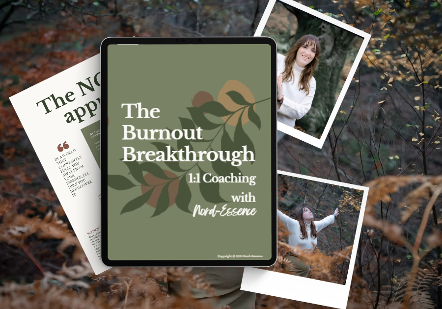Product image for “Burnout Breakthrough” — a 90-minute 1:1 coaching intensive by Nord-Essence. Designed for immediate clarity and support with burnout. Includes tablet mockup, nature visuals, and emotional imagery for somatic healing and strategic insight.